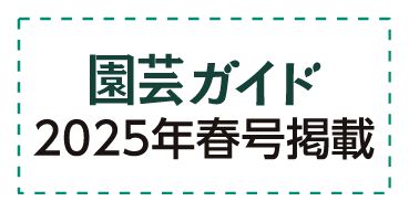 園芸ガイド2025年春号掲載
