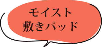 モイストラグ