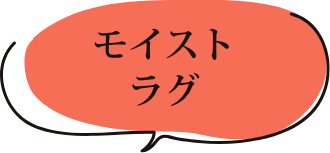 モイストラグ