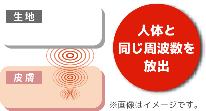人体と同じ周波数を放出