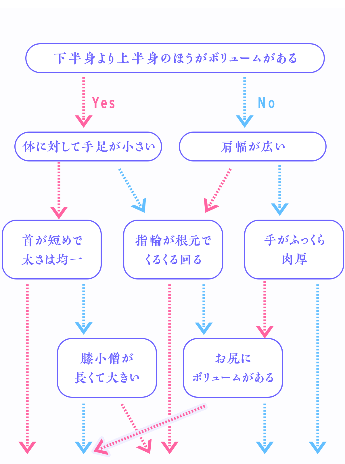 骨格診断のチャート表