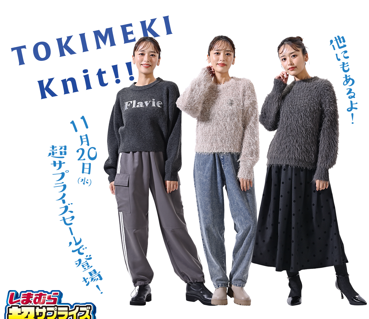 ときめきニットシリーズは他にもあるよ！11月20号チラシに登場予定！